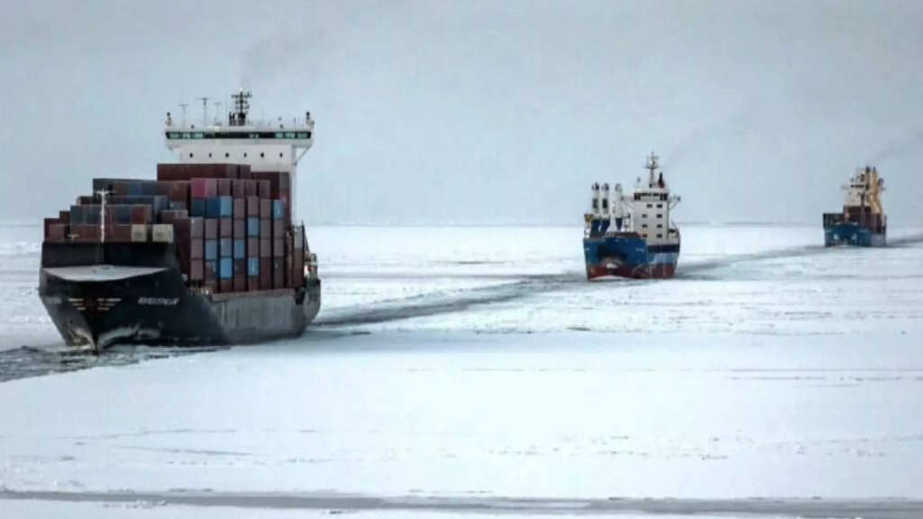 Murmansk Shipping