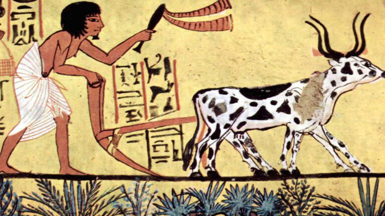 Egypt trade