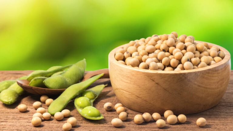 Soybean