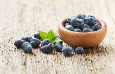 Berries