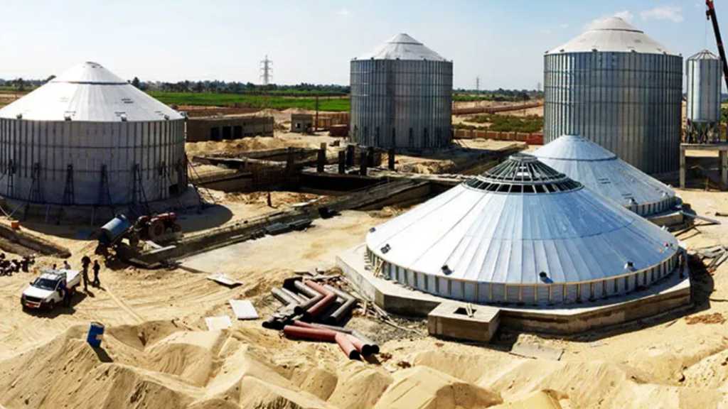 Egypt Agricultural Trade