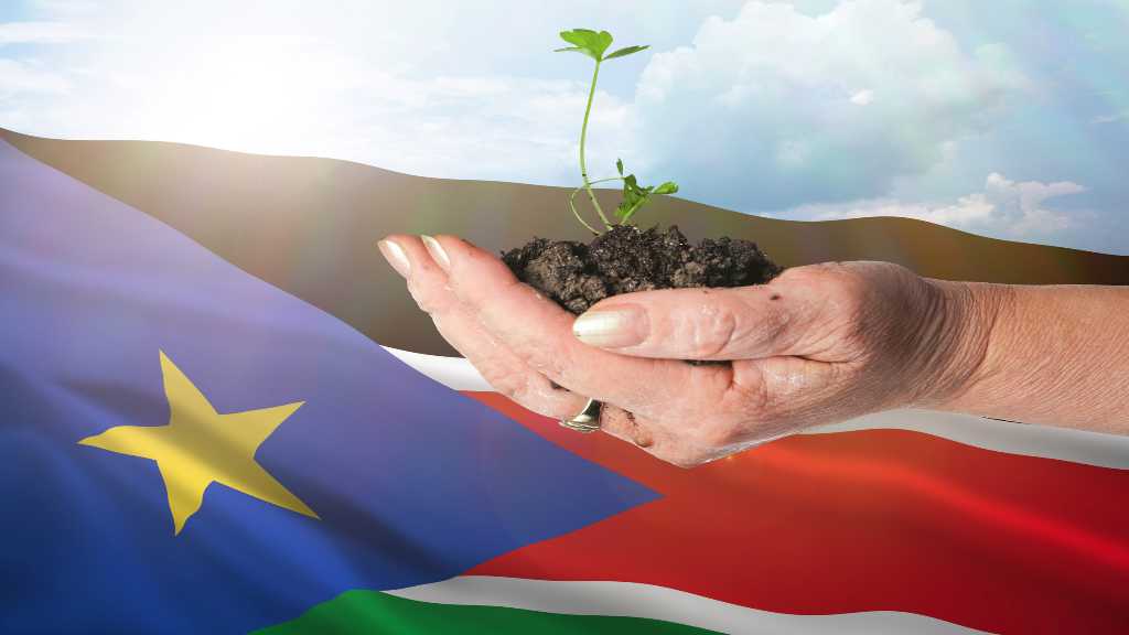 South Sudan Bilateral Energy