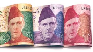 Pakistan Bank Notes