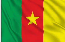 Cameroon flag