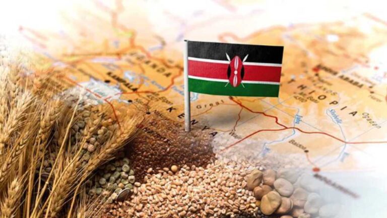 Kenya wheat export