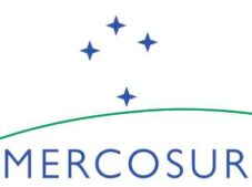 Mercosur Flag
