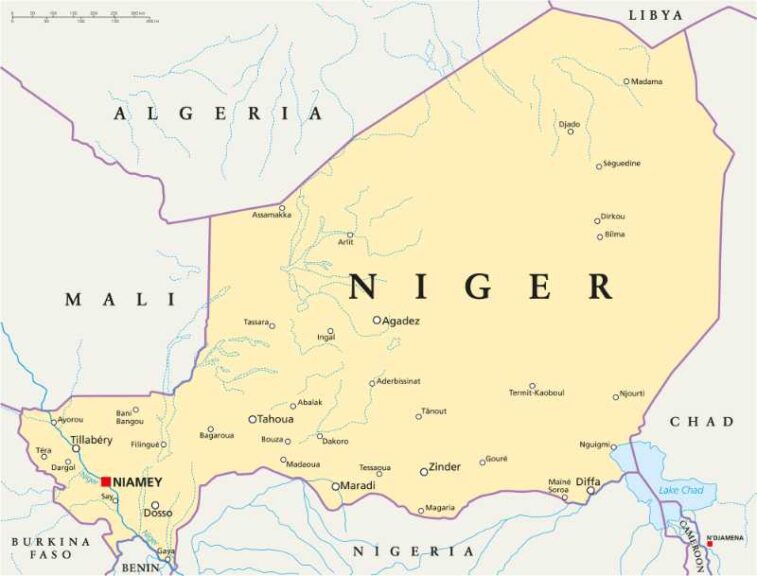 Niger msp