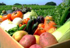 Agriculture
