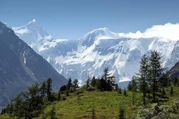 Altai
