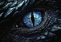 Dragon Eye