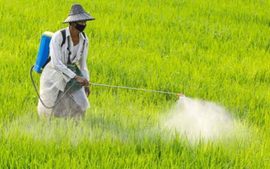 Fertilizer
