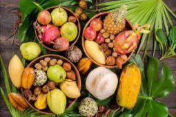 Fruit