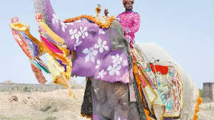 India