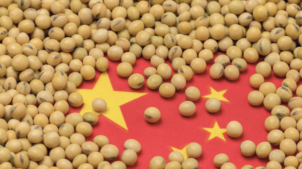 Agriculture Exports