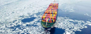 Artic