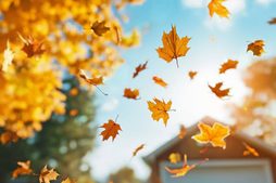 Autum