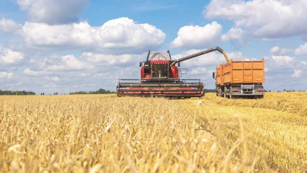Wheat Harvest