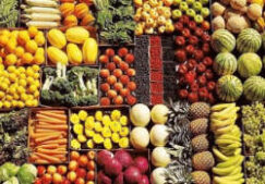 Agriculture
