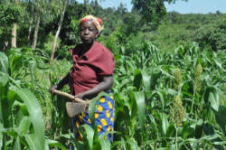 Agriculture