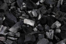 Coal