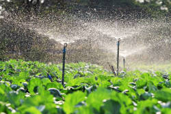 Irrigation